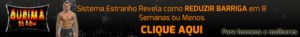 queima 48 banner 2 Onde Aprender na internet