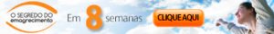O Segredo do Emagrecimento em 8 semanas s Onde Aprender na internet