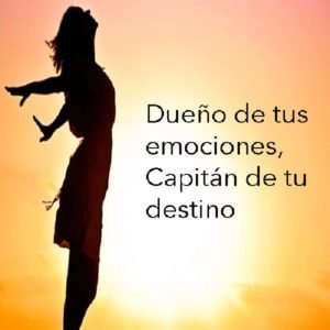 Dueño de tus emociones, Capitán de tu destino Onde Aprender na internet