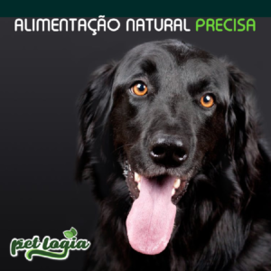 Alimentação Natural Precisa para Cães Saudáveis