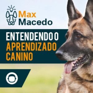 Entendendo o Aprendizado Canino