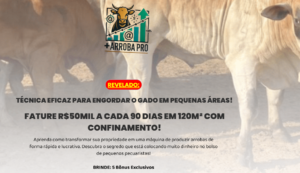 image Onde Aprender na internet