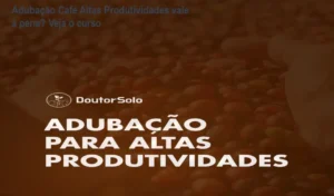 Cafezal produtivo com manejo de adubação técnica para alta performance