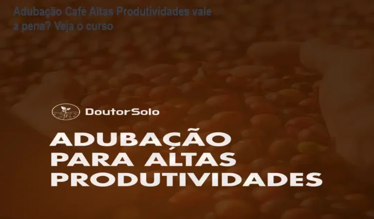 Adubação Café Altas Produtividades vale a pena? Veja o curso 5 https://ondeaprender.com.br/tecnologo-gestao-publica-12-meses-valor/ Cafezal produtivo com manejo de adubação técnica para alta performance