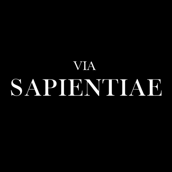 Análise Especial: Via Sapientiae Iago Tanajura 5 https://ondeaprender.com.br/biblioteca-de-estudos/page/2/ Capa do produto Via Sapientiae Iago Tanajura