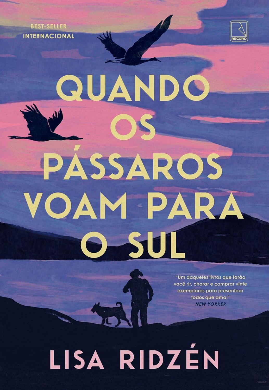 Capa do livro Quando os pássaros voam para o sul de Lisa Ridzén, romance sueco sobre envelhecimento