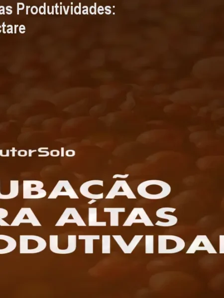 Adubação Café Altas Produtividades: Mais sacas por hectare