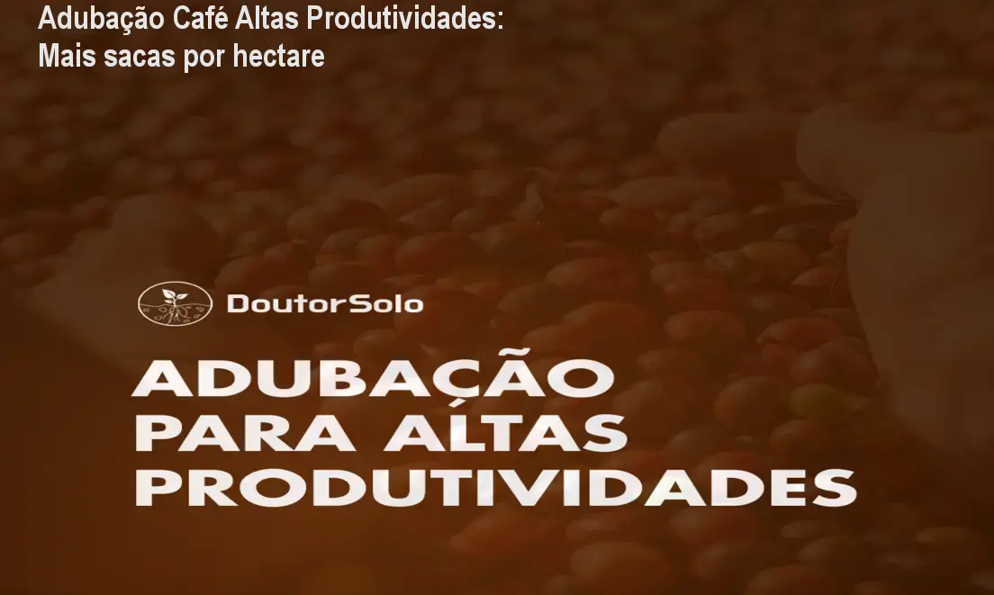 Adubação Café Altas Produtividades: Mais sacas por hectare 1 https://ondeaprender.com.br/aprender/adubacao-cafe-altas-produtividades-baixa-produtividade/ Adubação Café Altas Produtividades: Mais sacas por hectare