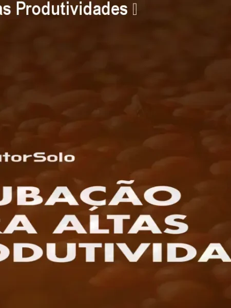 Adubação Café Altas Produtividades – Maximize sua Safra