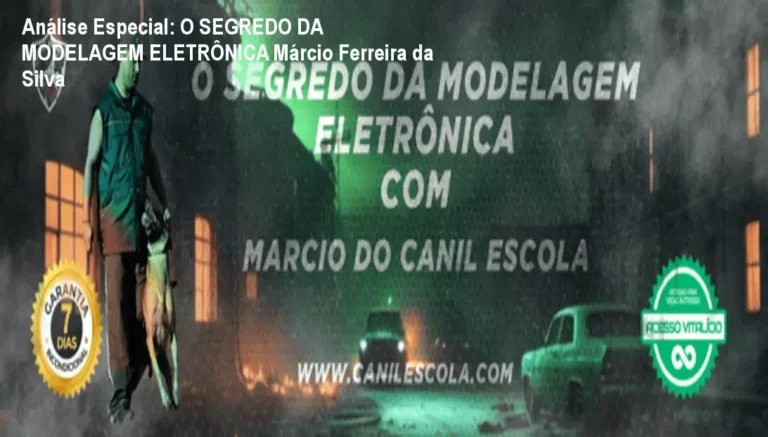 Análise Especial: O SEGREDO DA MODELAGEM ELETRÔNICA Márcio Ferreira da Silva 1 https://ondeaprender.com.br/ Capa informativa sobre o tema O SEGREDO DA MODELAGEM ELETRÔNICA Márcio Ferreira da Silva