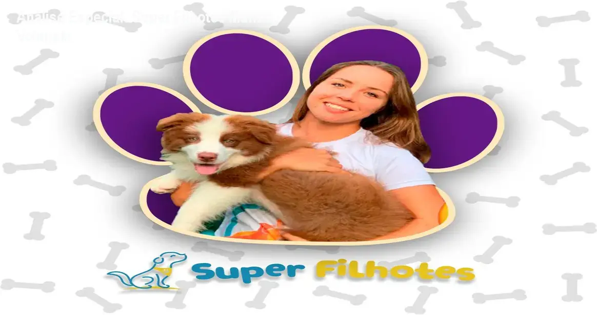 Análise Especial: Super Filhotes Marina Volanski 1 https://ondeaprender.com.br/super-filhotes-marina-volanski/ Capa informativa sobre o tema Super Filhotes Marina Volanski