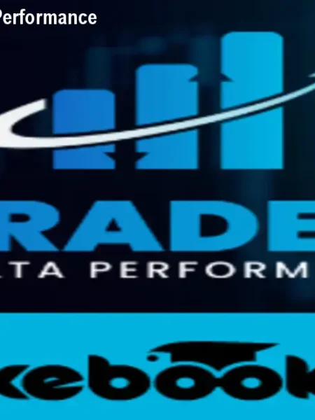Curso Trader de Alta Performance Marcelo Sardinha