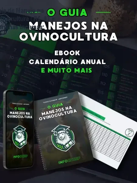 Guia de Manejo na Ovinocultura – R$ 67 e Planilhas Inclusas
