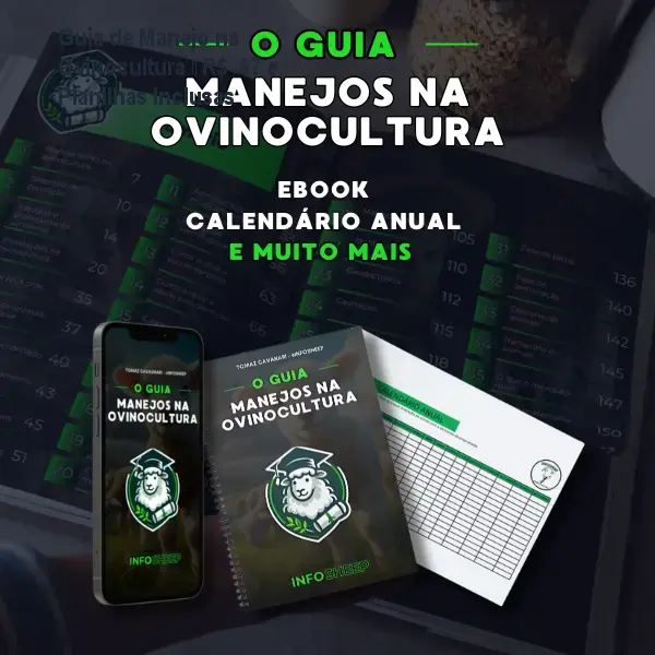 Guia de Manejo na Ovinocultura – R$ 67 e Planilhas Inclusas 1 https://ondeaprender.com.br/aprender/guia-manejo-ovinocultura-guia-de-manejo-na-ovinocultura-tecnicas-praticas-para-criadores-tomaz-cavagnari/ Guia de Manejo na Ovinocultura – R$ 67 e Planilhas Inclusas