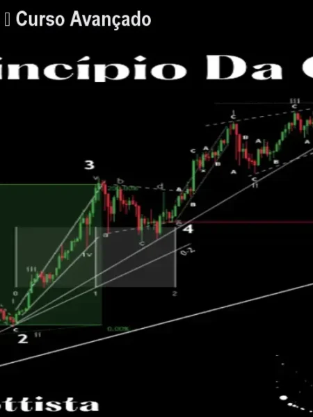 O Princípio da Onda – Curso Avançado por R$987