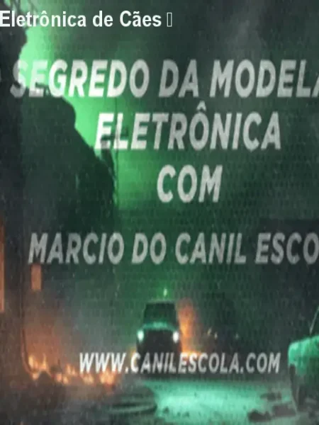 Curso Modelagem Eletrônica de Cães – Controle Total