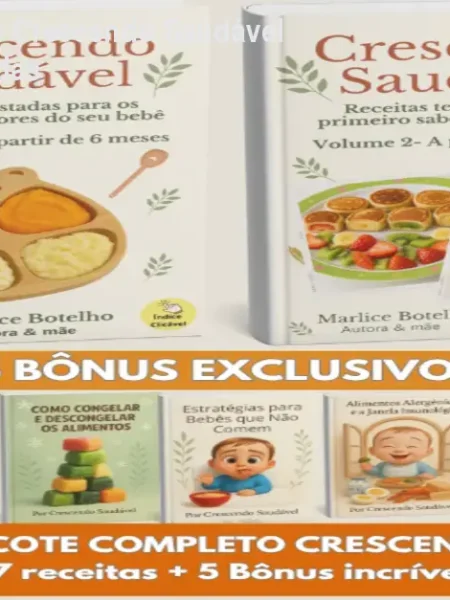 Receitas Para Bebês Crescendo Saudável – 337 Receitas Testadas