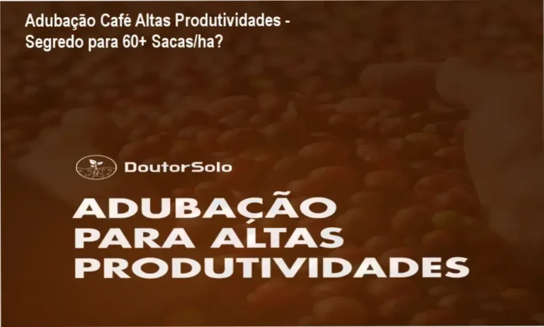 Planilha de análise de solo e recomendação de adubação para café