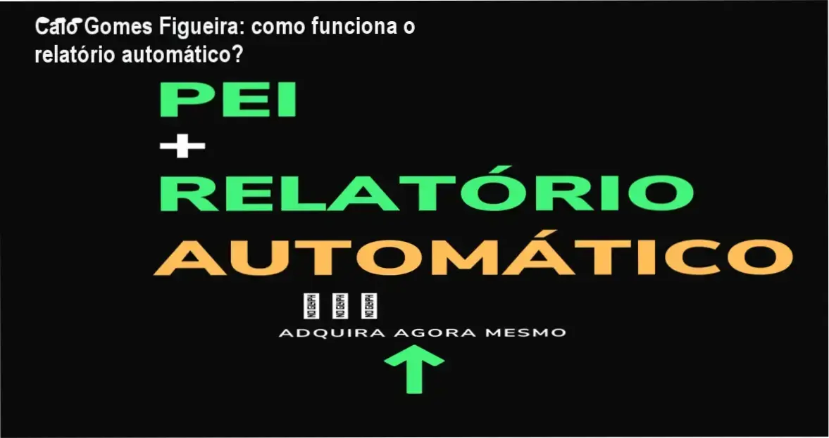 Caio Gomes Figueira: como funciona o relatório automático? 1 https://ondeaprender.com.br/vb-mapp-pei-relatorio-automatico-como-funciona-relatorio-automatico/ Caio Gomes Figueira explicando o relatório automático VB-MAPP + PEI