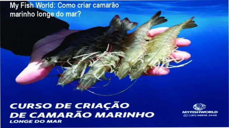 Imagem do curso My Fish World de criação de camarão marinho longe do mar