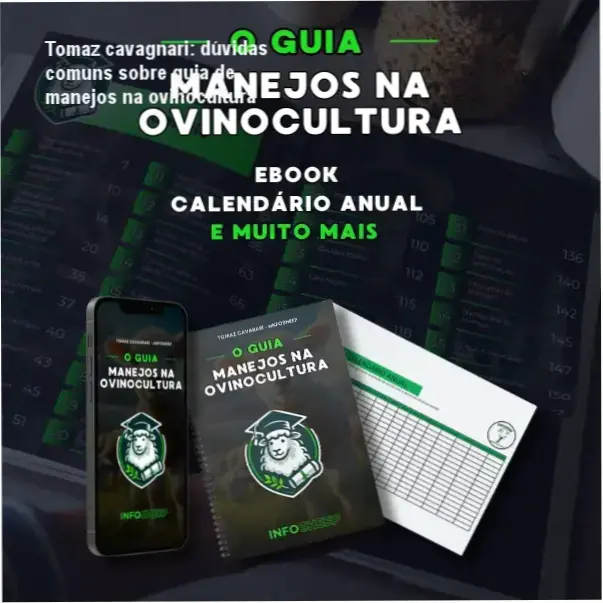 Tomaz cavagnari: dúvidas comuns sobre guia de manejos na ovinocultura 3 https://ondeaprender.com.br/ Capa digital do Guia de Manejo na Ovinocultura, com destaque para planilhas e calendário de atividades.
