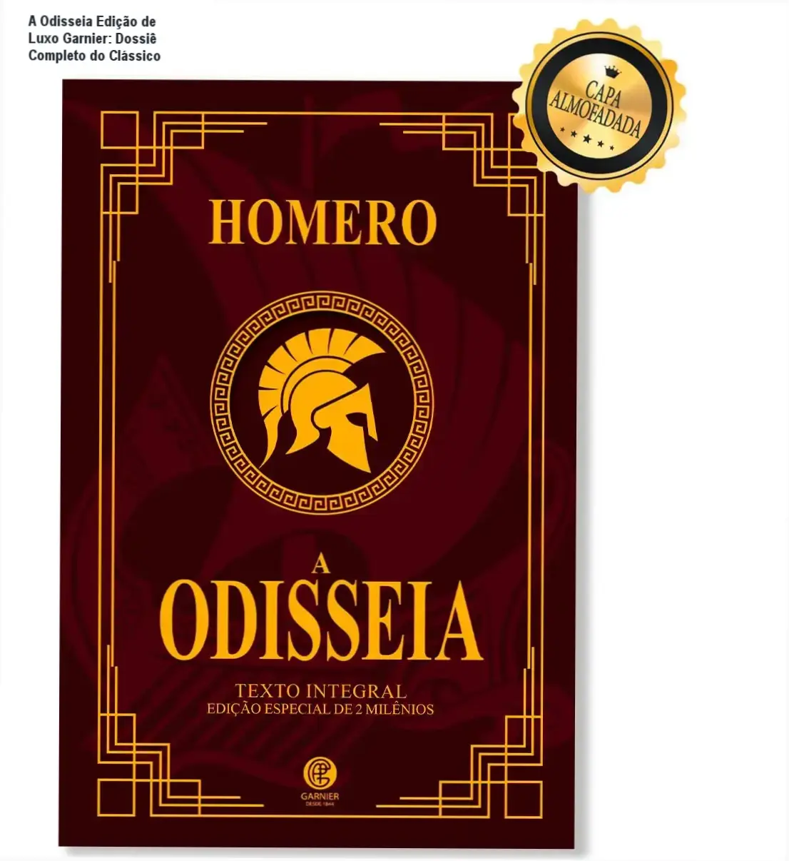 Livro A Odisseia de Homero na Edição de Luxo Almofadada da Editora Garnier com detalhes em dourado