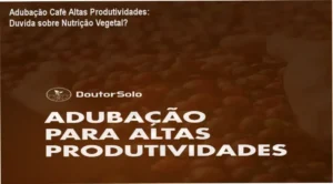 Profissional analisando relatório de nutrição vegetal para adubação personalizada no café