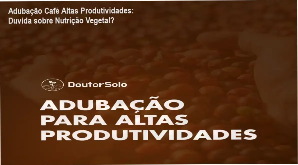 Profissional analisando relatório de nutrição vegetal para adubação personalizada no café