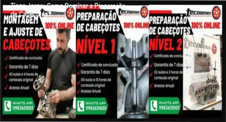 Tiago Jorge: Como Dominar a Preparação de Cabeçotes? 7 https://ondeaprender.com.br/inovajur-ecossistema-ia-google-juridico-analise-tecnica-2/ Combo Preparação de Cabeçotes Tiago Jorge - Visão técnica de bancada de fluxo e usinagem de sedes