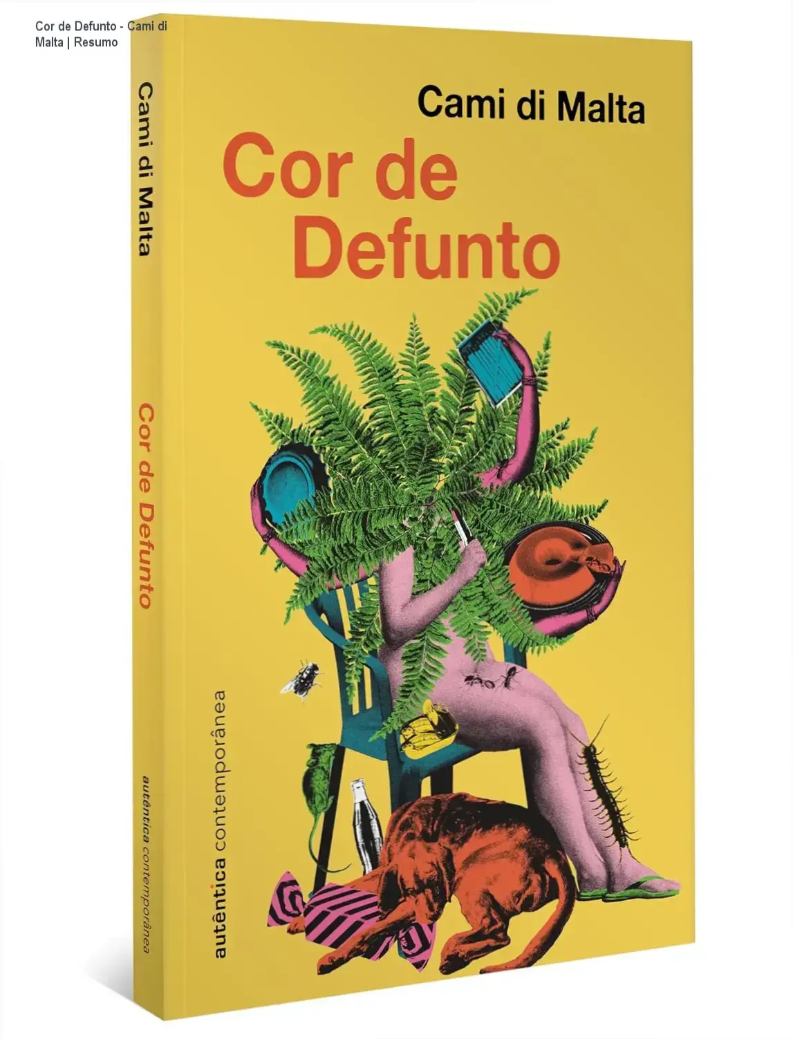 Capa do livro Cor de Defunto de Cami di Malta com destaque em amarelo e silhueta de personagem em funeral