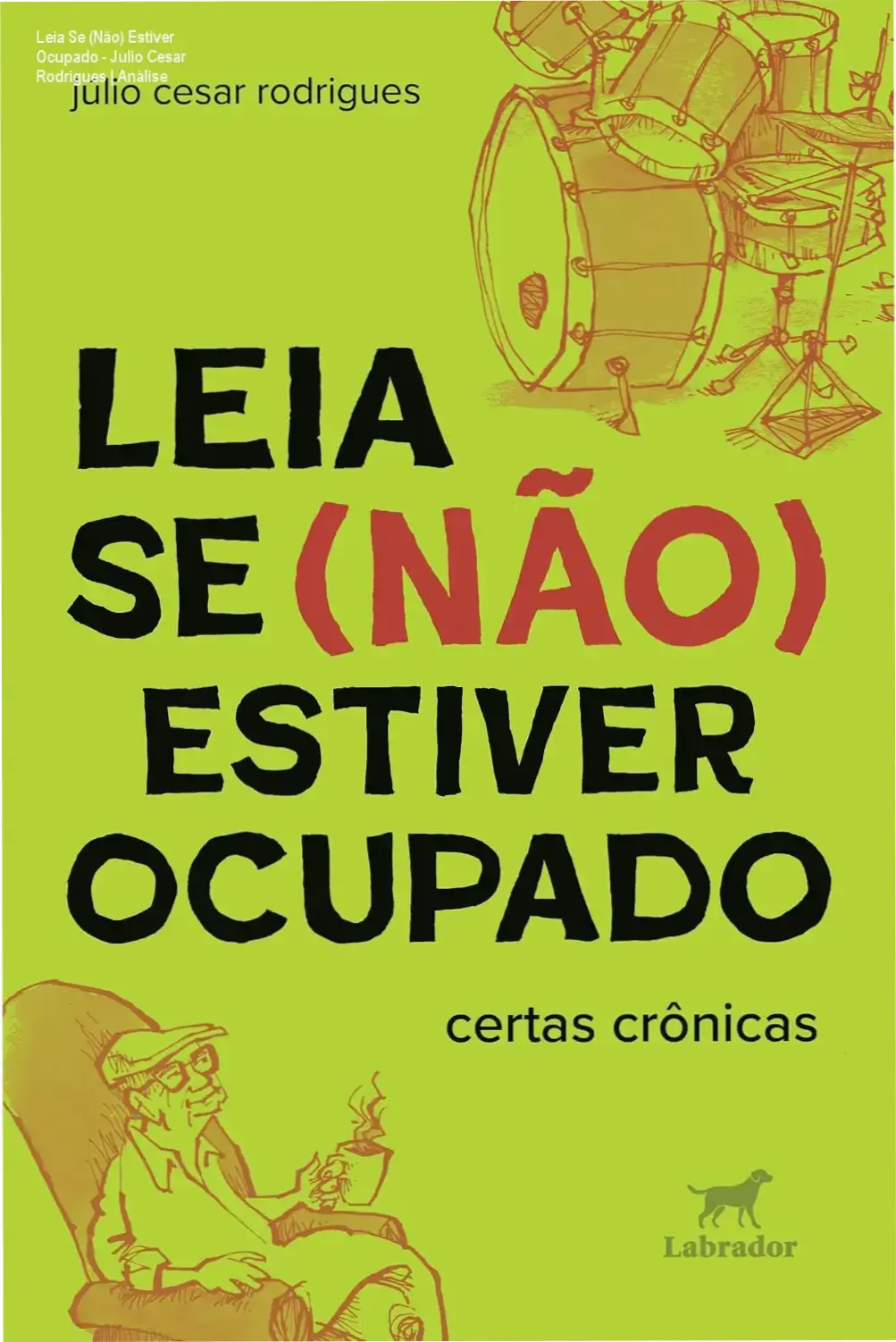 Capa do livro 'Leia Se (Não) Estiver Ocupado' de Julio Cesar Rodrigues, com destaque para o título e fundo neutro.