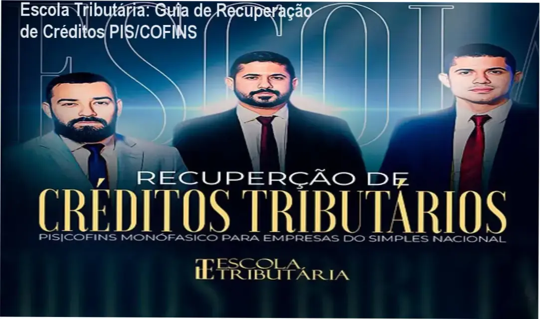 Profissional analisando planilhas de recuperação de créditos tributários PIS e COFINS para empresas do Simples Nacional