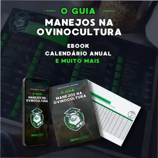Livro digital de manejo de ovinos com planilhas de controle de rebanho e calendário sanitário