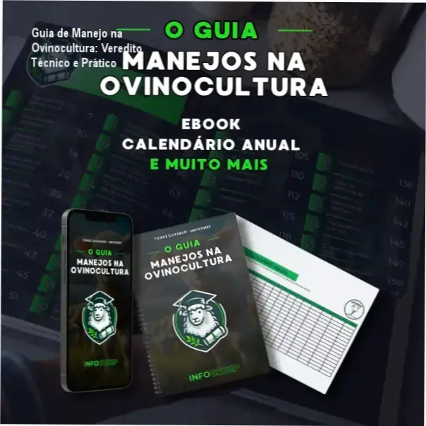 Guia de Manejo na Ovinocultura: Veredito Técnico e Prático 1 https://ondeaprender.com.br/guia-manejo-ovinocultura-tomaz-cavagnari-analise/ Guia de Manejo na Ovinocultura de Tomaz Cavagnari: visão interna do ebook e planilhas de gestão
