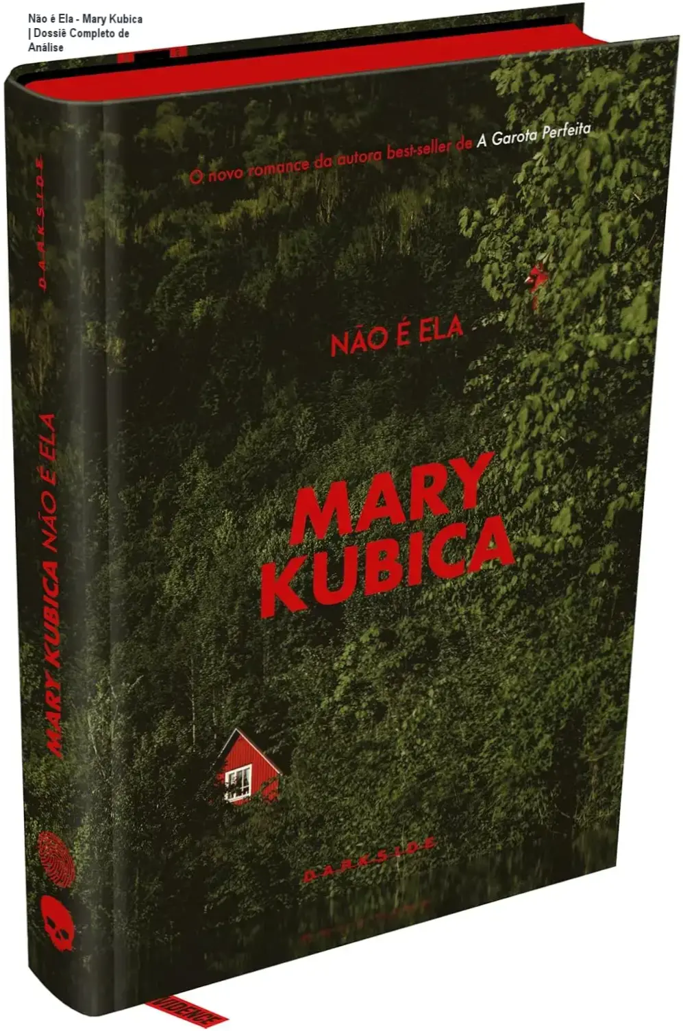 Não é Ela - Mary Kubica | Dossiê Completo de Análise 1 https://ondeaprender.com.br/nao-e-ela-mary-kubica-analise-tecnica-2/ Capa do livro Não é Ela de Mary Kubica, edição Crime Scene da DarkSide Books