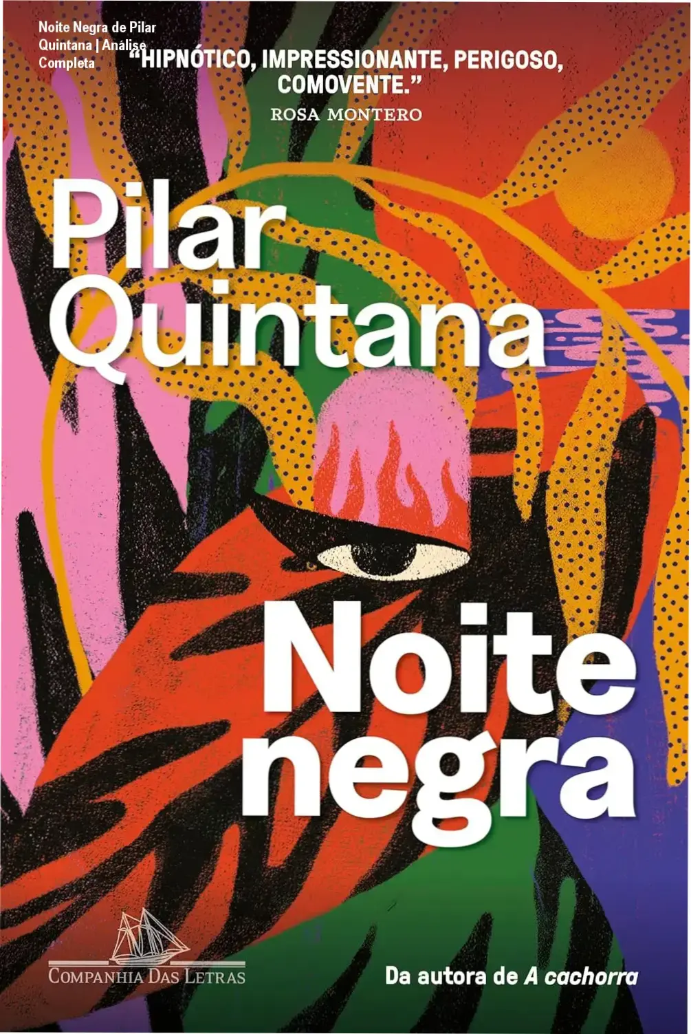 Noite Negra de Pilar Quintana | Análise Completa 1 https://ondeaprender.com.br/noite-negra-pilar-quadrana-analise/ Capa do livro Noite Negra de Pilar Quintana, destaque da Editora Companhia das Letras
