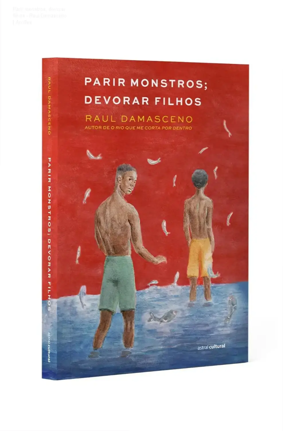 Capa do livro Parir monstros, devorar filhos de Raul Damasceno em ambiente de leitura